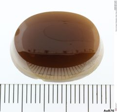 Foto von Quarz (Chalcedon, Achat, Onyx) (NHMW-MIN-Au876)